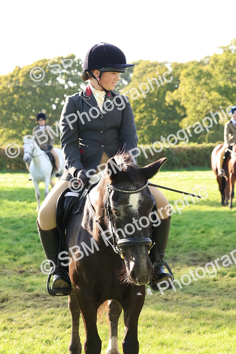 SBM_52650 - S13 - Pony Club Pony