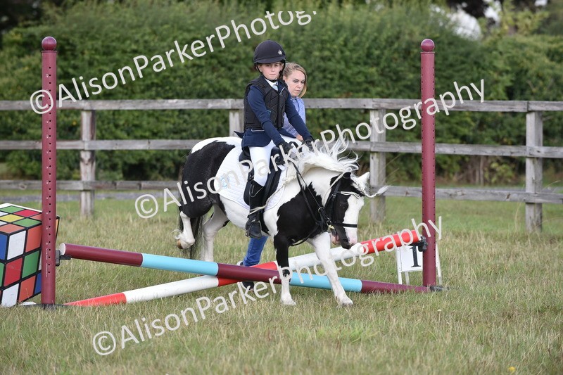 20250831-0471 - Class 7 - Absolute Novice 35cm