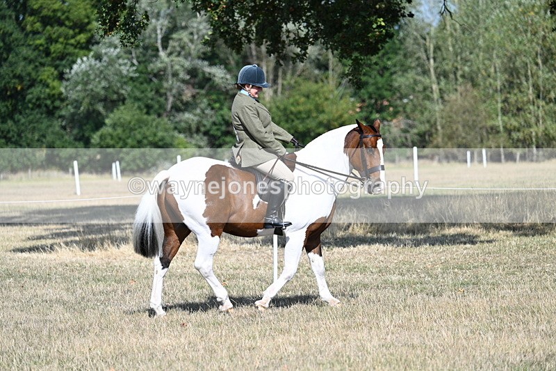 WJ7_2771 - Class 8 Ridden Tack & Turnout