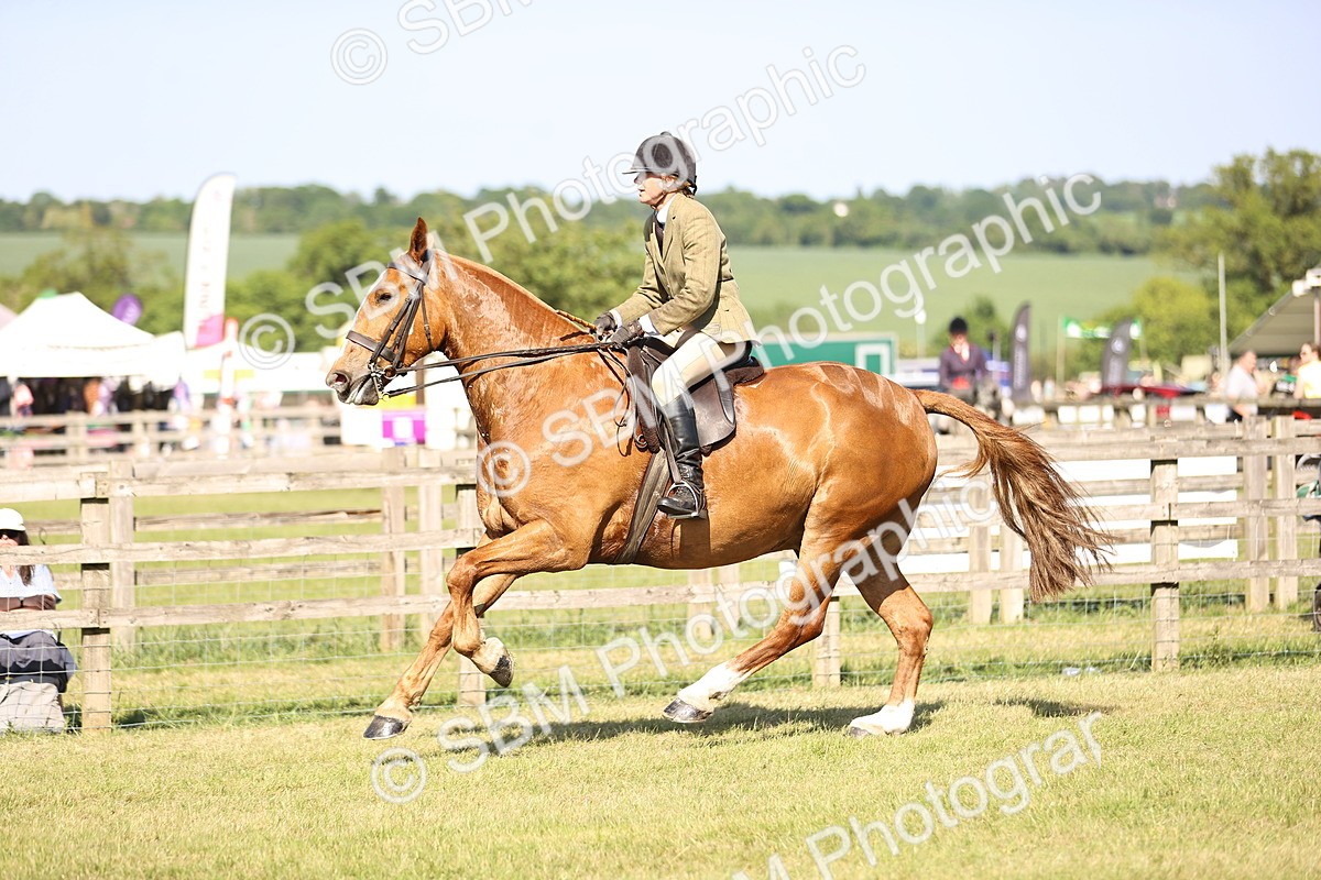 SBM_19664 - Class 87-88 - RIHS BSHA Riding Horses