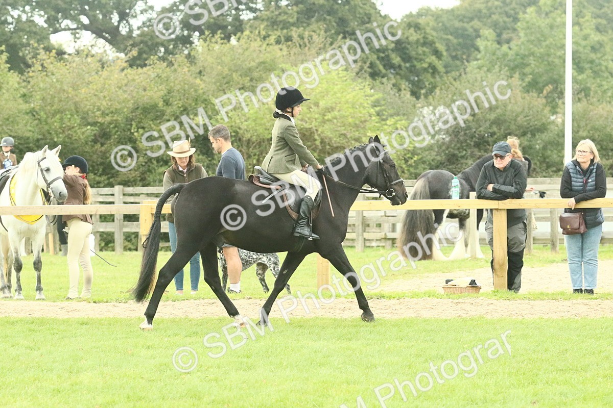 SBM_73976 - S 61 - Show Pony & Show Hunter Pony Ridden