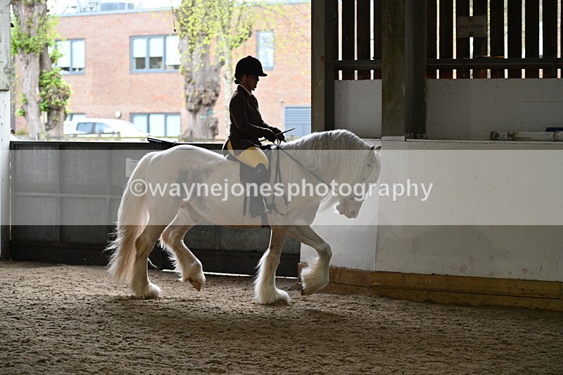 WJ7_3773 - Class 17 Ridden Cob