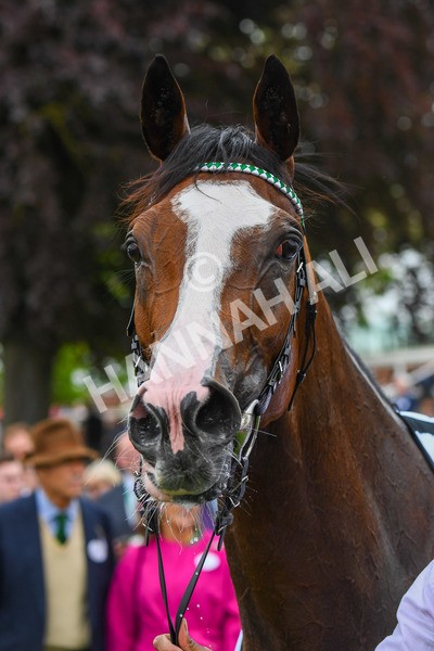 180523-Race 2-Free Wind-0298 - Race 2 2.25pm Al Basti Equiworld Dubai Middleton Fillies' Stakes