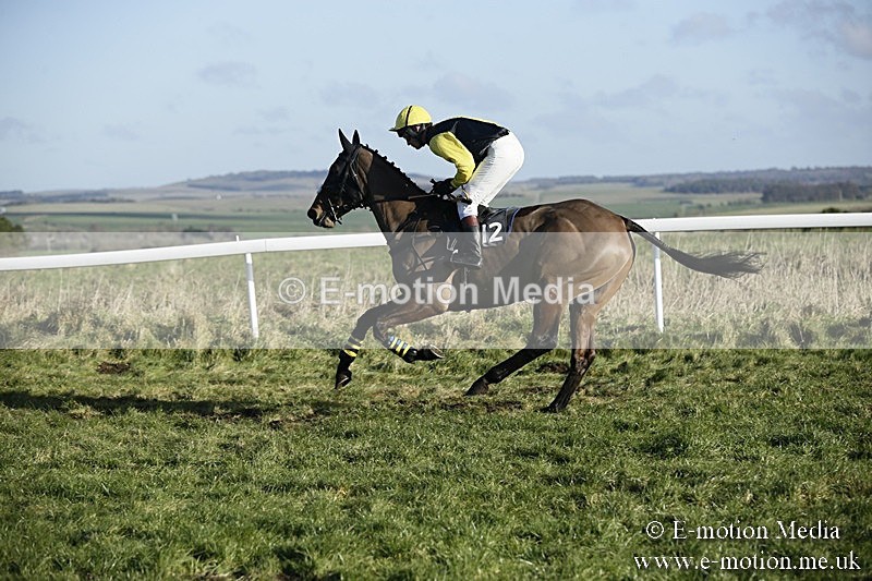 PtP 070118 -336 - Larkhill Racing Club Point to Point Larkhill 07/01/2018