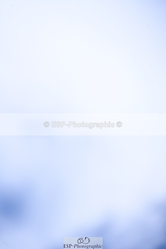 240809-162600-02385 - Preliminary Gold