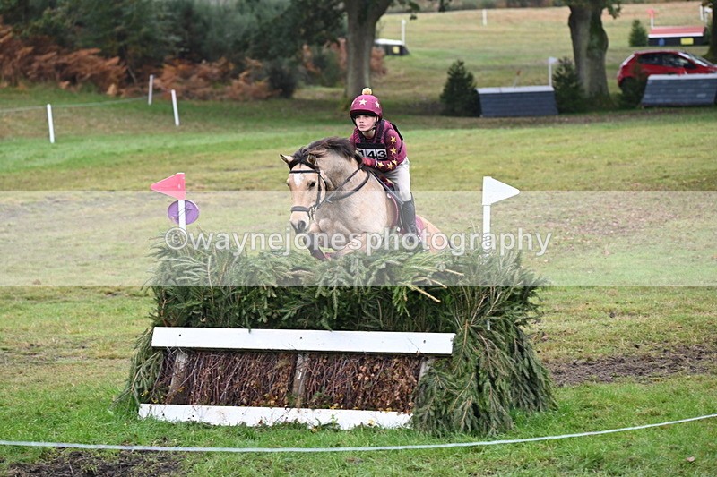 WJ6_2475 - 80cm Cam 1 Time 11:23 to 12:04