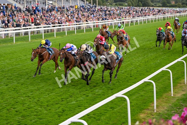 220824-Race 7-Alfa Kellenic-8081 - Race 7 5.20pm British EBF Fillies' Handicap