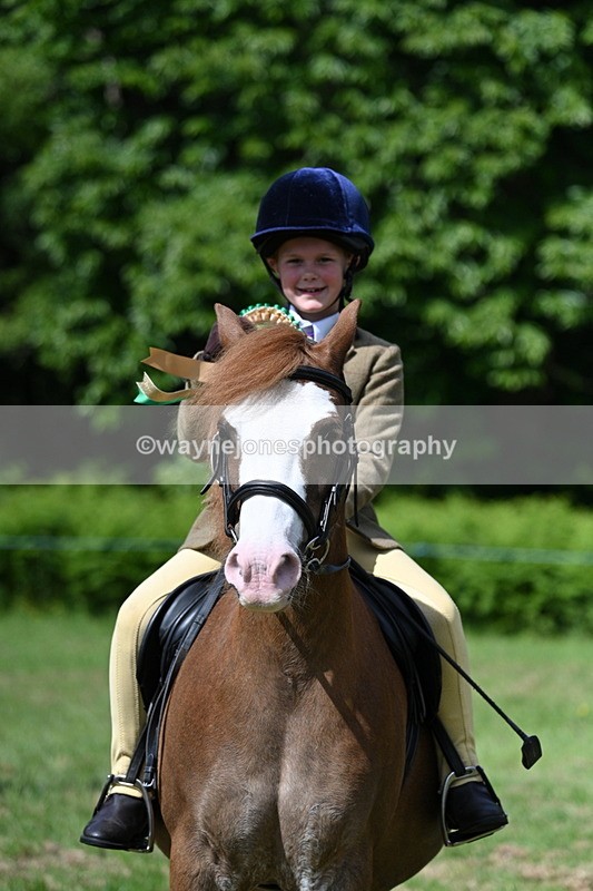 WJ7_0872 - Class 8 First Rally Pony