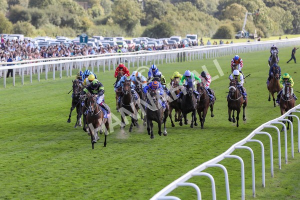 240824-Race 4-Magical Zoe-9122 - Race 4 3.35pm Sky Bet Ebor Handicap