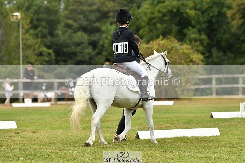 250820A-105327-04804 - Start to 11am