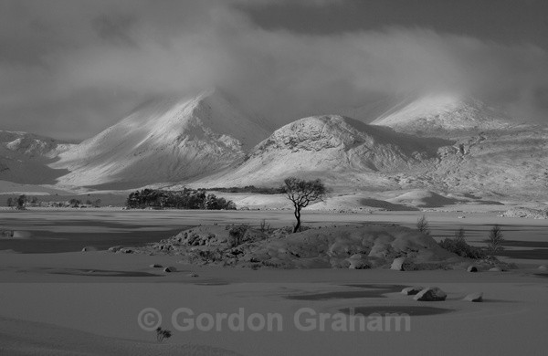 Black mount (1) B&W - General