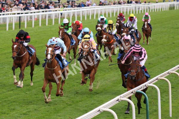 yr22052022r6-26 - Race 6: 6:05pm Sky Bet Sunday Series Stayers Stakes