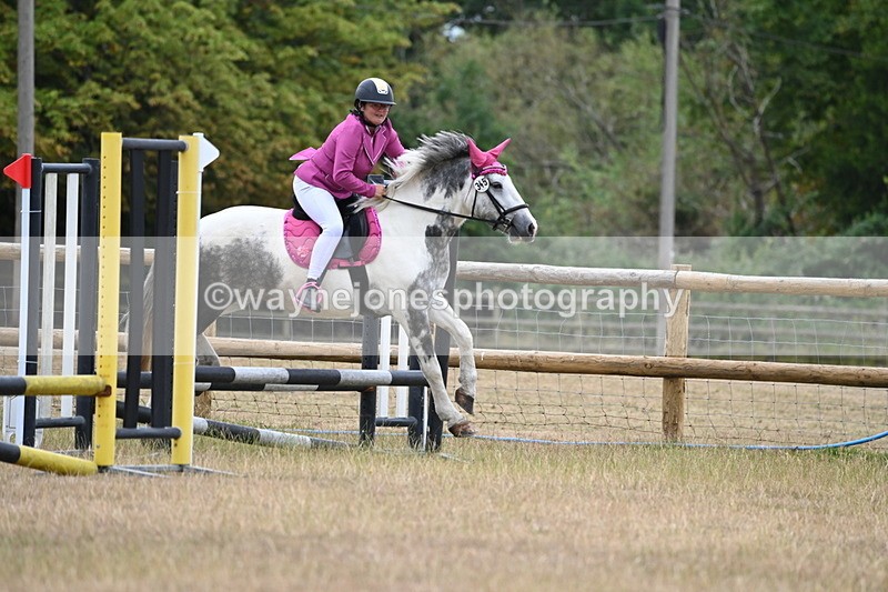 WJ6_0334 - Class 13 Novice Jumping 60cm