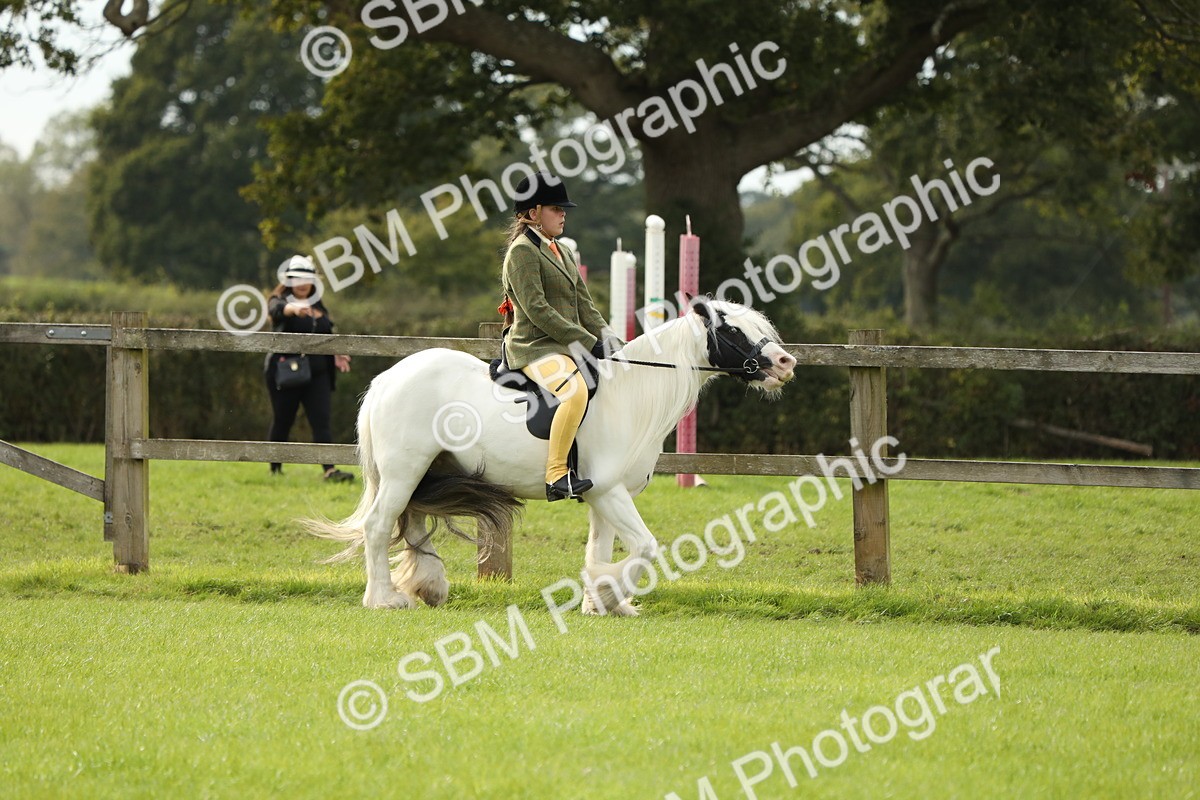 SBM_71481 - S41 - Ridden Equitation (Best Rider)