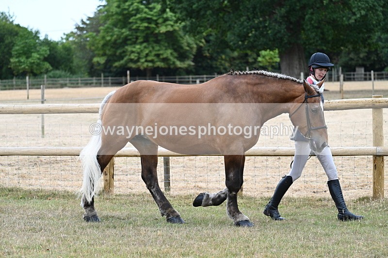 WJ7_8907 - Class 4a Prettiest Mare 14.2hh and over
