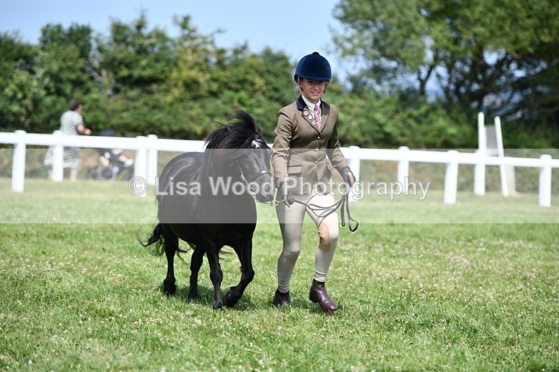 DSC_8176 - Class 67: Child Handler 11 - 16 years