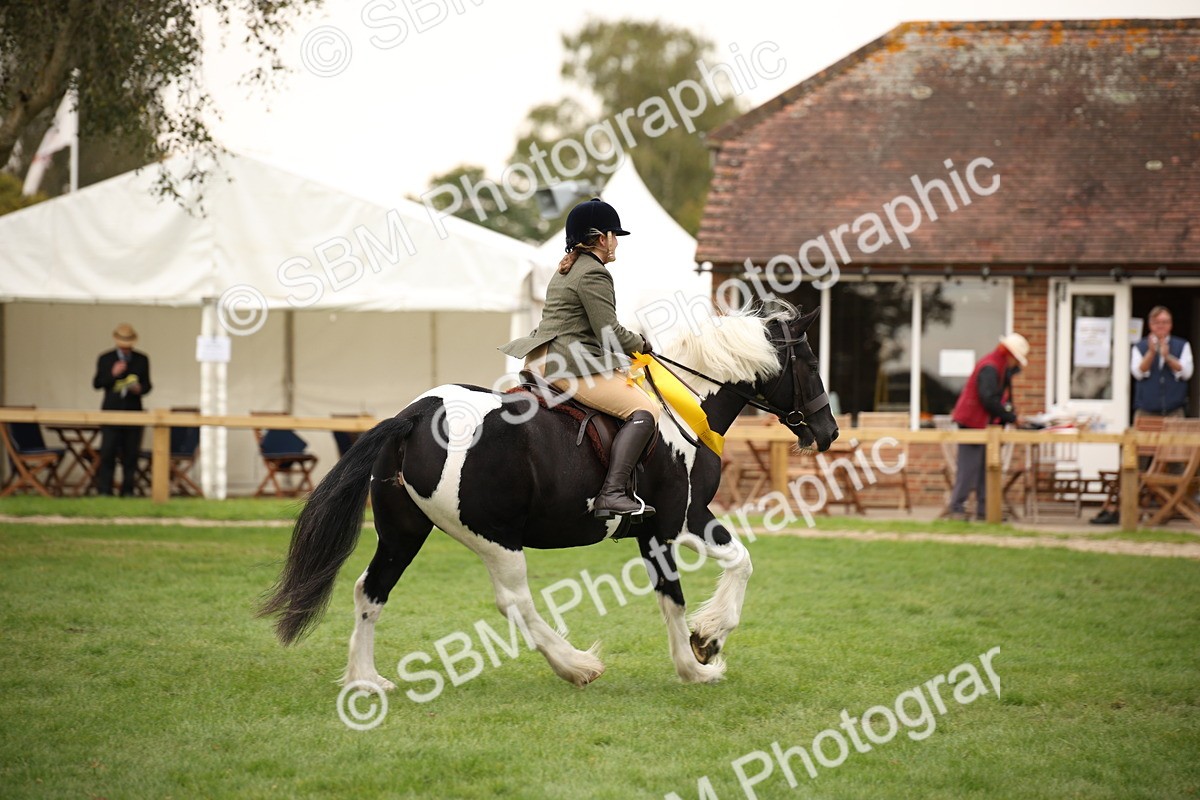 SBM_73594 - S68 - Traditional Cob Ridden