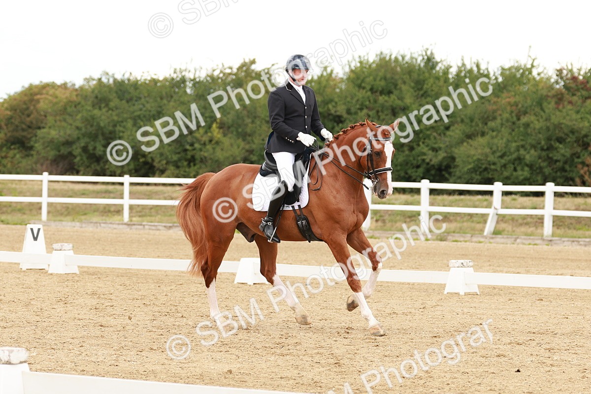 SBM_002019 - Class 8 - Elementary 6