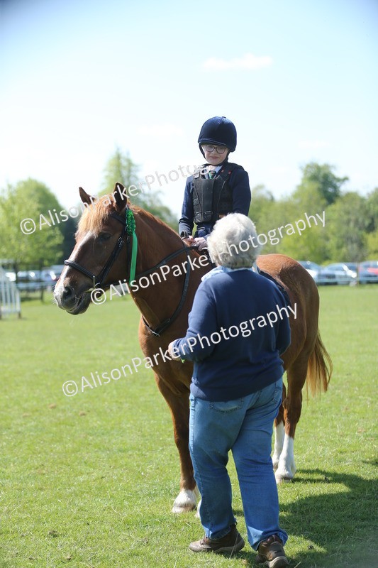 20250427-1834 - Class 2 - Mini Jumping 30cm