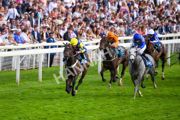 260823-Race 7-Astro King-1043 - Race 7 Sky Bet Finale Handicap at York