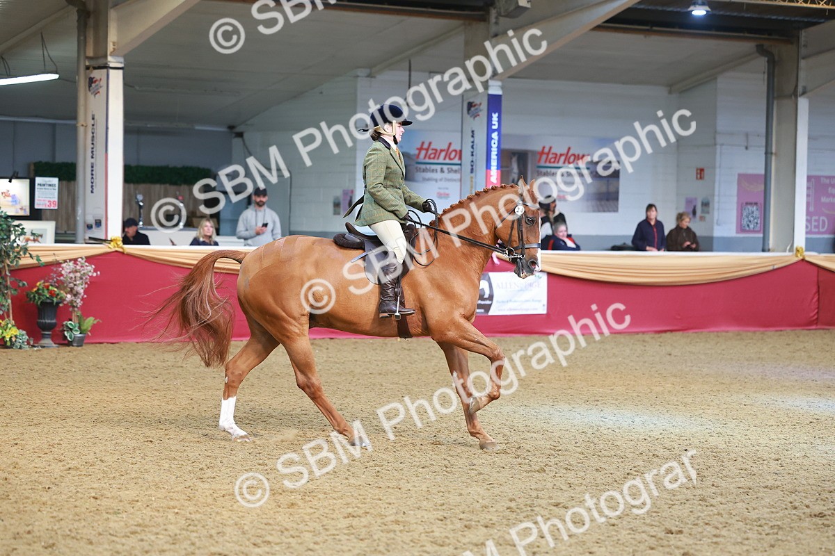 SBM_09700 - Class 102 - HOYS Veteran Qualifier - Ridden Veteran