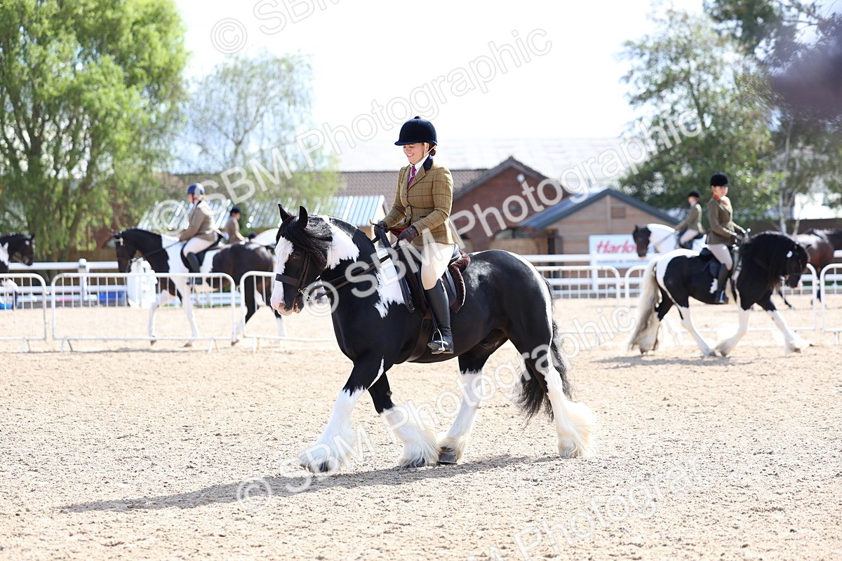 SBM_11373 - Class 307 - Ridden Coloured Pony