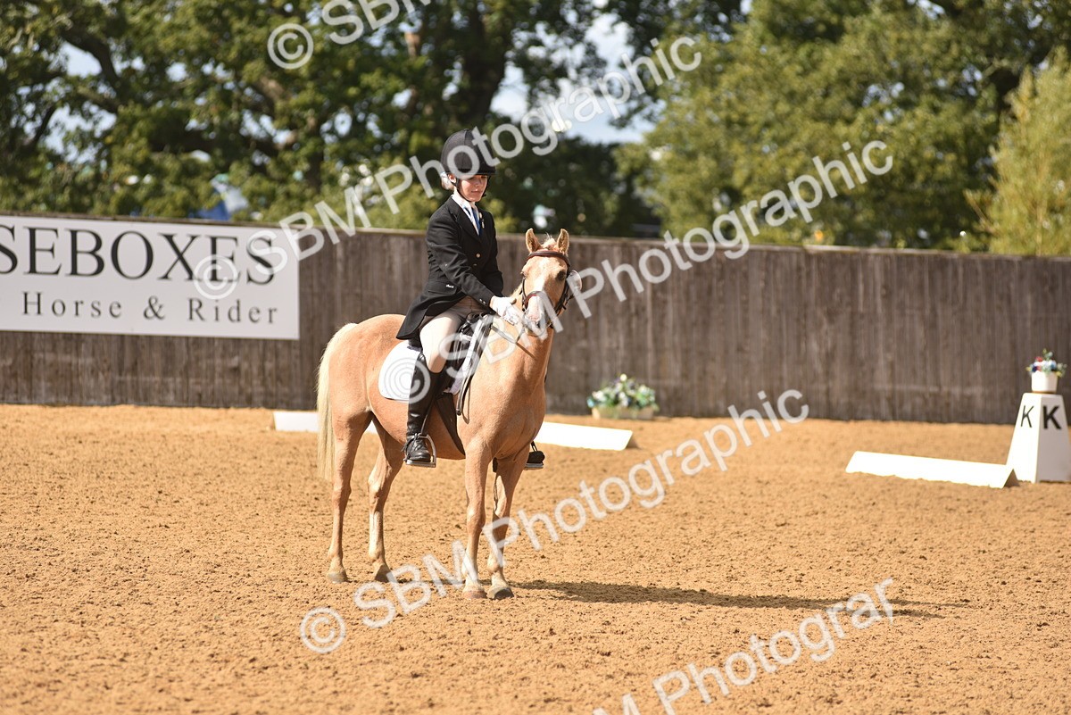SBM_48676 - D22 - Junior Championship Intro 3
