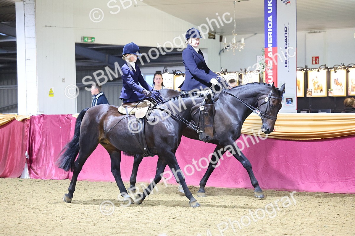 0B8A4315 - Class M Ridden Pairs Champ