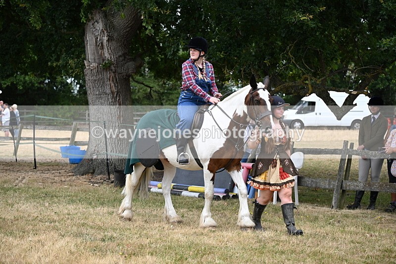 WJ6_4645 - Class 11 Fancy Dress
