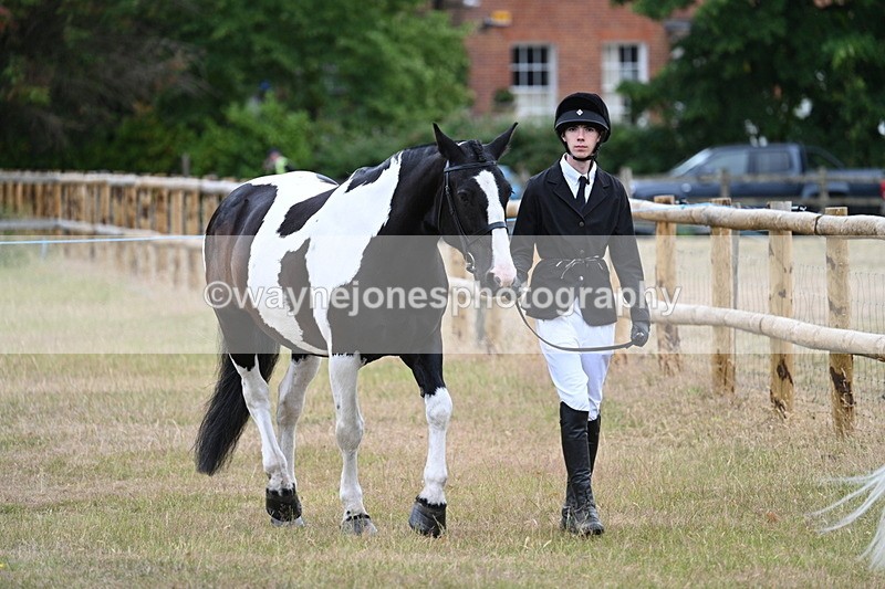 WJ7_9055 - Class 4a Prettiest Mare 14.2hh and over