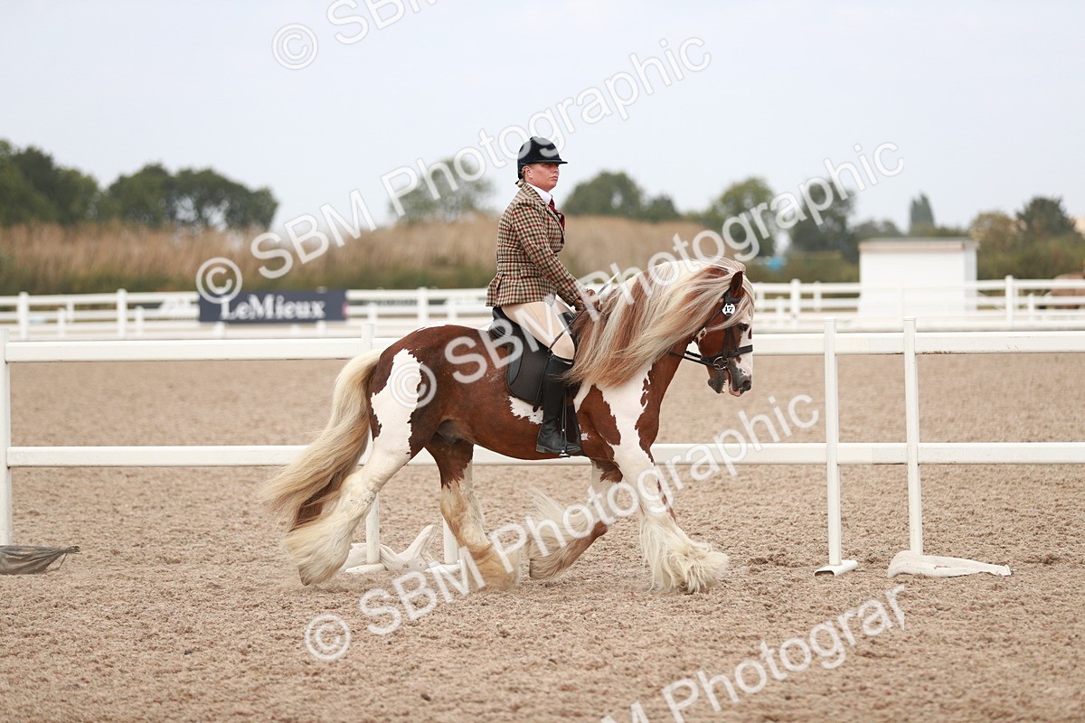 SBM_16593 - Class 214 Ridden Cob