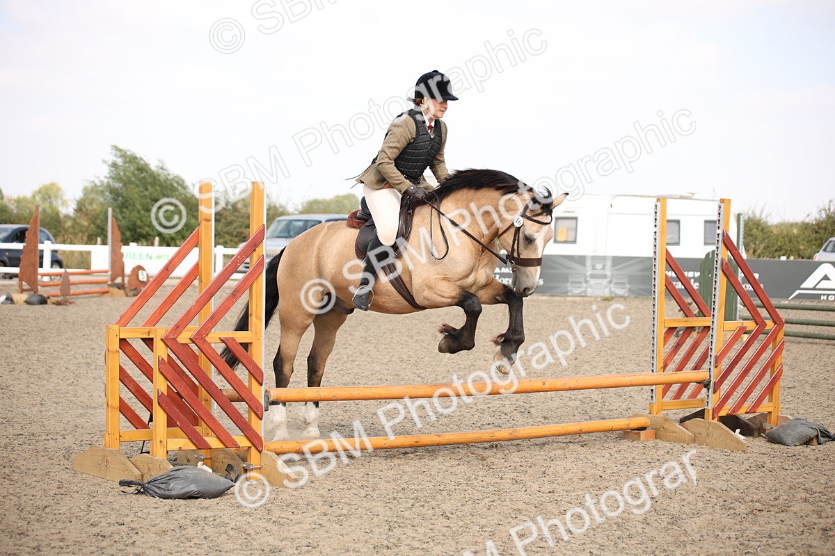 SBM_14157 - Class 407a - Working Veteran 60cm (15-19