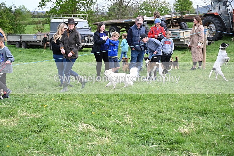 WJ6_8510 - Class 6 Best Rescue