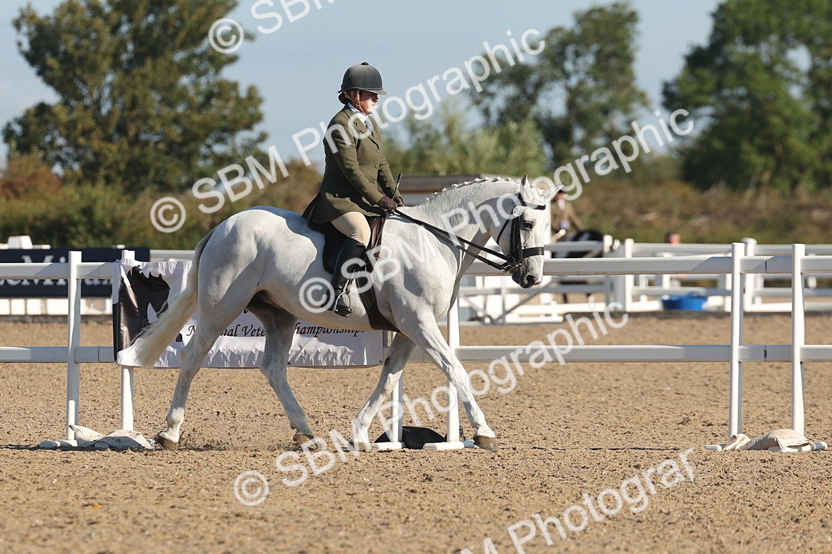 SBM_12203 - Class 303 - Ridden Pure Bred Horse Pony