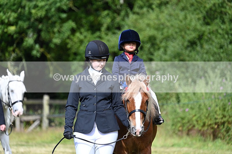 WJ7_4345 - Class 1 Lead Rein Pony