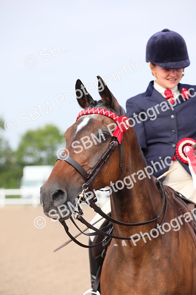 SBM_10722 - Class 303 Ridden Pure Bred Horse/Pony (excl M&M)