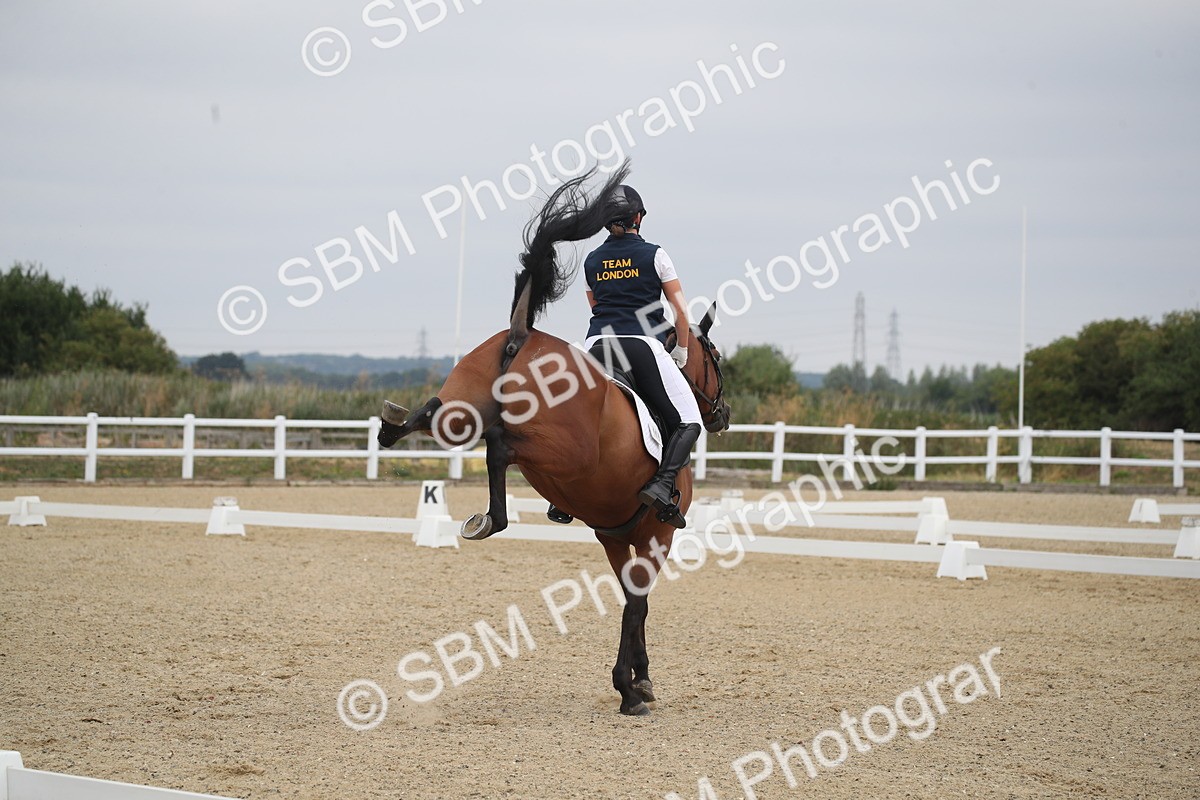 SBM_005527 - Novice 5 - 8.30.10.39