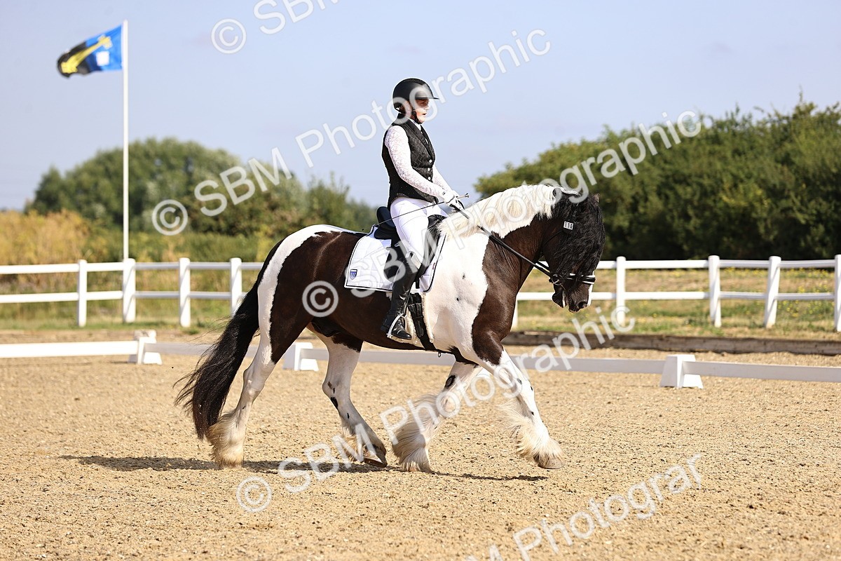 SBM_008628