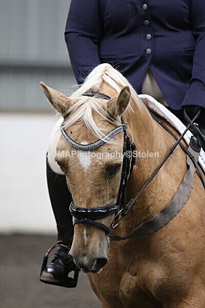 SIAL5483 - CAbin Dressage 5th july 2025