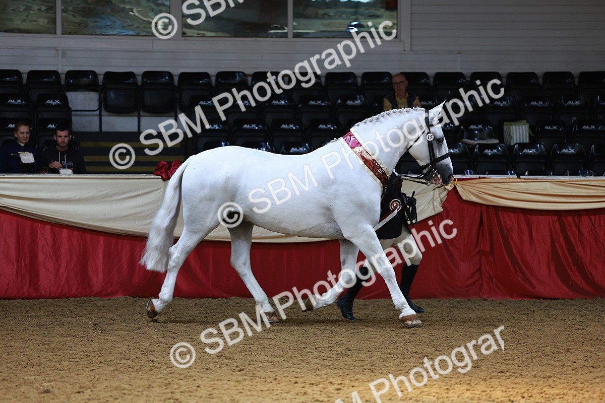 SBM_23301 - Class 903 - Supreme Final - IH Pre Vet