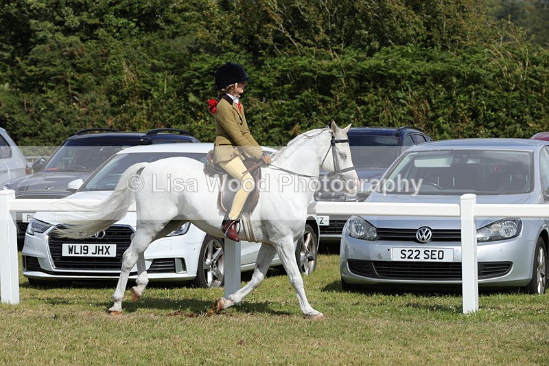 1X9A5689 - Class 40: NPS Welsh A & B