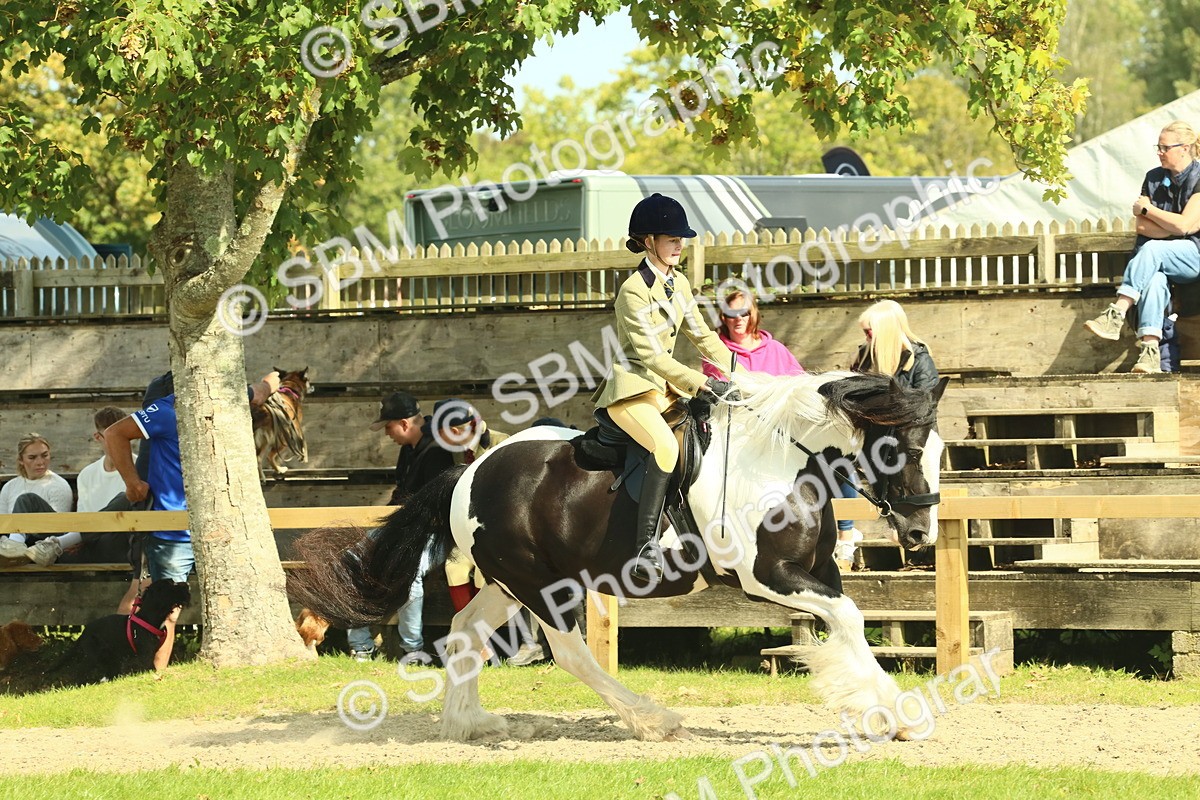 SBM_67610 - S56 - Coloured Pony Ridden