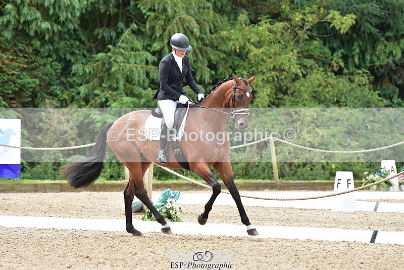 250719A-124140-05668 - 175-Louise.Hendy-Gulf.Of.Poets