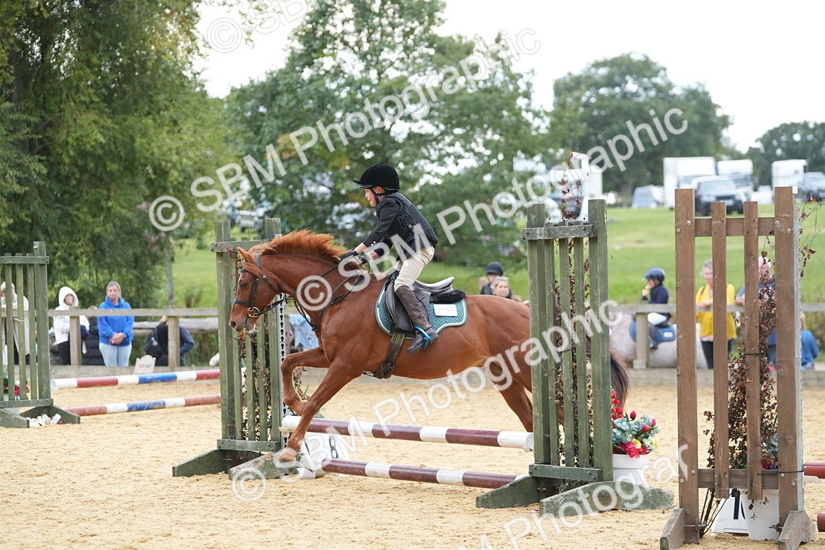 SBM_74622 - J4 - Mini Tour Junior Pony 45cm Championship