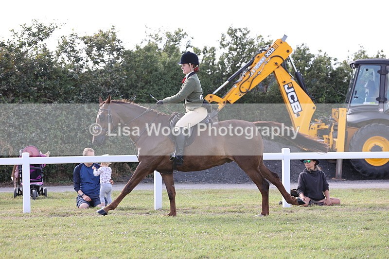 JPP_3007 - Class 20: Working Hunter 70cm