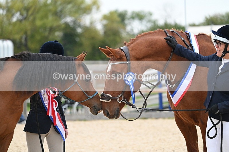 WJ7_1988 - Class 1 & Champs