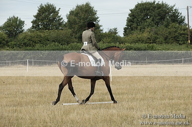 _PJP5790 - Dressage Classes BVRC Show 2018
