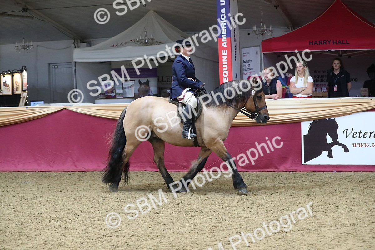 SBM_16570 - Class 502 M&M Ridden Supreme Final