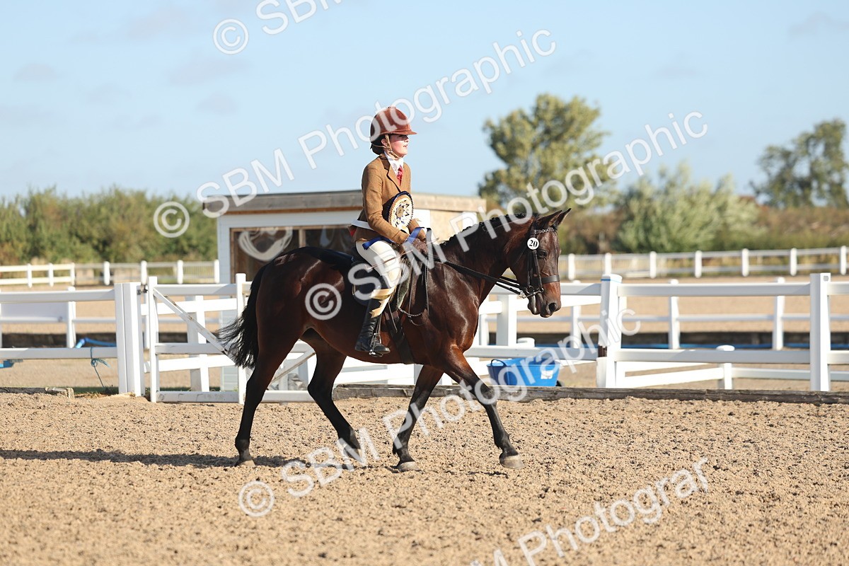 SBM_22154 - Class 801 - Ridden Veterans