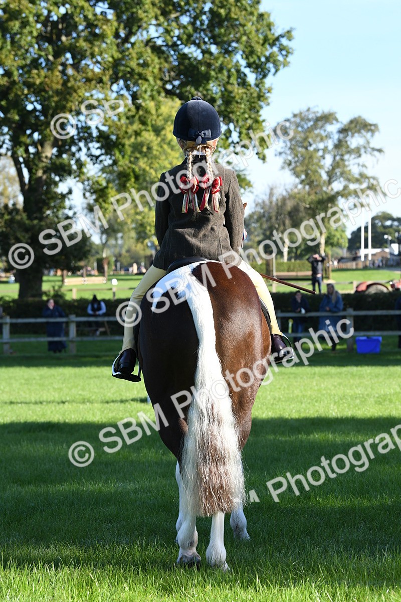 SBM_34067 - S16 - Condition & Turnout - Ridden